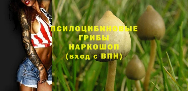 мескалин Баксан
